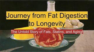 Journey from Fat Digestion to Longevity. #health #diet #aging #longevity #fat #ketones #glucose