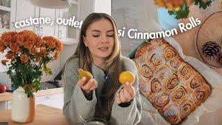 VLOG  Un struggle de-al meu | Rețetă Cinnamon Rolls, castane coapte & OUTLET Germania