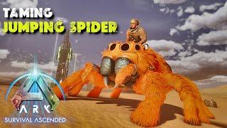 We Tame One Cute Fluffy Jumping Spider! ARK Ascended!