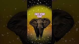 Face Your Fear #motivation #andrewtate #cars #money #watch #sports #sport #success #wealth #edit