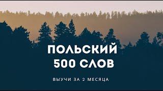 500 слов ПОЛЬСКОГО языка. Польский за 2 месяца