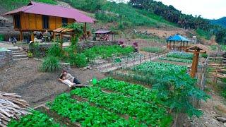 Sang vy builds a farm together, plants and harvests, vegetable garden, chickens - Sang vy farm