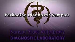 Packaging Diagnostic Samples