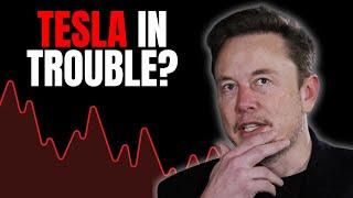 (WARNING) Tesla Is About To Report Earnings...