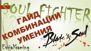 Soul Fighter Мастер Ци Обзор и ГАЙД Комбинации Ротации Умения Blade and Soul