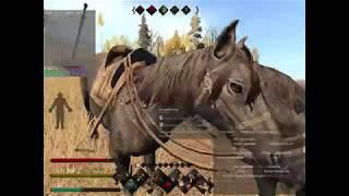 Life is Feudal: СЧ 06.08.17. MacLeods VS Arkona , Barbarians