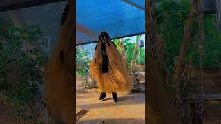 igbo culture #culture #funny #viralvideos #igbo #igboamaka #igbomusicentertainmenttv #masques #igbot