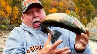 Fishiest Fails of the Week | Hook, Line, and Failure