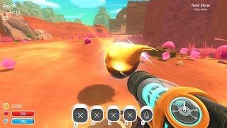 Slime Rancher #8 Золотой слизень