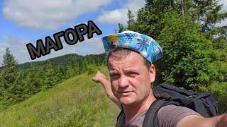 Перші білі гриби. Знайшов спортивний майданчик у лісі. гора Магора смт. Сколе, Україна.