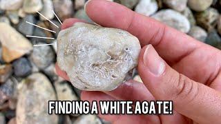 Can You Find Agates in Landscaping Rock? | Rockhounding in Common Places