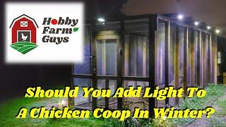 Should You Add Light to Your Chicken Coop in Winter? Pros and Cons