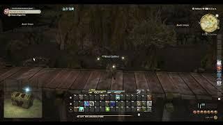 FFXIV No GP Big Fishing [66] The Green Jester