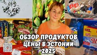 Цены в Эстонии 2025.Обзор покупок.Закупка продуктов на неделю.Таллинн заметает снегом.Округление цен