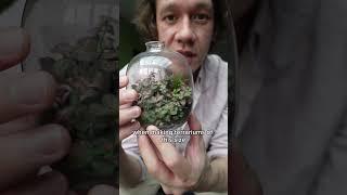 this is a very special ecosystem