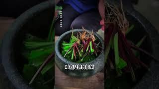 经过岁月的洗礼，许多东西渐渐的都被遗忘了，只存于智者心中#古法#古人的智慧 #车前草