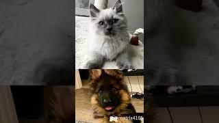 ##memik