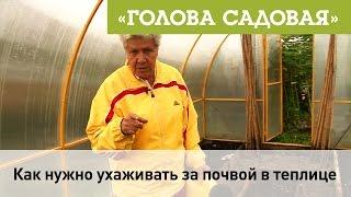 Голова садовая - Как нужно ухаживать за почвой в теплице