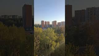 Погода в москве 25. 09. 24 анекдот про мох.
