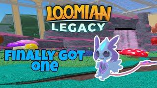 I FINALLY Got a Gamma Nymaurae (Epic Reaction) | Loomian Legacy Finds