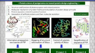 Bioenergetics and Biophysics 2013