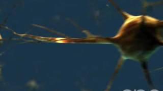 Neuron - 3D Medical Animation || ABP ©