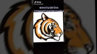 Untitled video