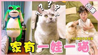 家有一娃一猫，十八的表情太好笑了！（合集）【十八的萌喵日记】