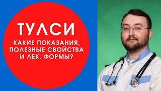 Тулси или базилик священный в аюрведе, фитотерапии. Полезные свойства, особенности.