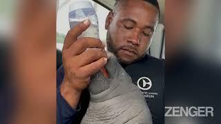 Simple Humanatee: Touching Moment Distressed Baby Manatee Is Rescued By Hand