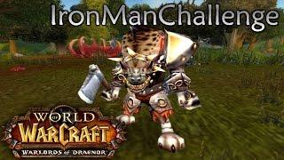 WoW Legion: Прокачка Охотника #005 Элингейм INRUSHTV Прохождение WoW IronManChallenge Человек