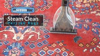 Steam Clean Persian Rugs