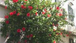 Promotion film for Kassiopi resort in Corfu,Greece