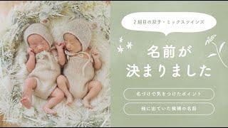 【W双子】名前が決まりました！名前の由来と他に出てた候補たち