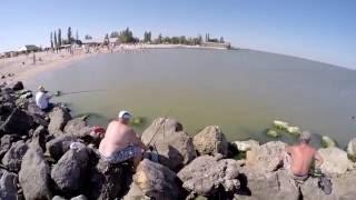 ЕЙСК. Куда поехать на море !.Азовское море г Ейск   прогулка по Косе