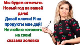 Я требую ключи от вашей дачи! продолжала вопить золовка. Немедленно забери их у своей мымры!