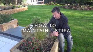 How to maintain - Stipa