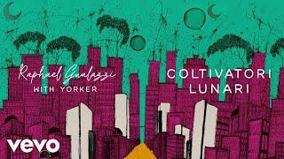 Raphael Gualazzi - Coltivatori lunari (Visualizer) ft. Yorker