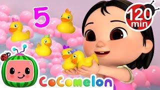 Cece's Little Ducks! Count Numbers!  | CoComelon Nursery Rhymes and Kids Songs | Animals for Kids