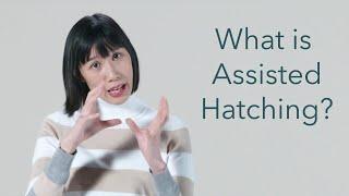 What is Assisted Hatching? | Generation Next Fertility