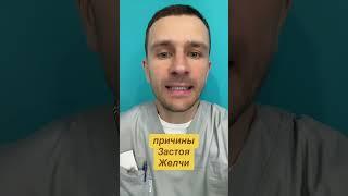 застой желчи, желчь, желчный пузырь, отток желчи, густая желчь,