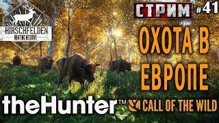 theHunter Call of the Wild #41 СТРИМ  - Охота в Европе - Штуцер, Револьвер, Ружьё