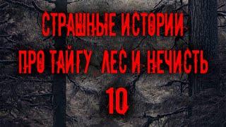 Страшные истории про тайгу, лес  и нечисть. 10 Мистика Zvook. Олег Ли