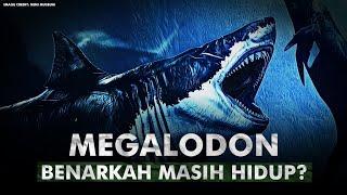 Apakah Selama Ini Kita Salah Tentang Megalodon? | Megalodon