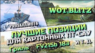 WoT Blitz | ОБУЧЕНИЕ ОТ СТАТИСТА️КАКИЕ ПОЗИЦИИ ЗАНИМАТЬ НА КАРТОННЫХ ПТ-САУ️ГРИЛЬ FV 183 И Т.Д.