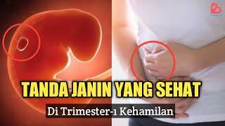 Tanda Janin Sehat di Trimester Pertama Kehamilan