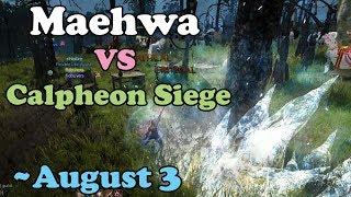 BDO - Maehwa VS Calpheon Siege: August 3