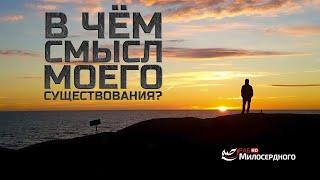 В чём смысл моего существования?