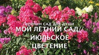 Мой летний сад//Июльское цветение