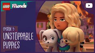 THE BIG PUPPY ESCAPE  | S1E5 | #FullEpisode | LEGO Friends The Next Chapter